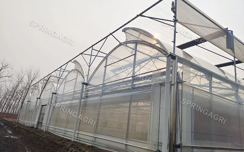 150 Micros PO Clear Film Greenhouse