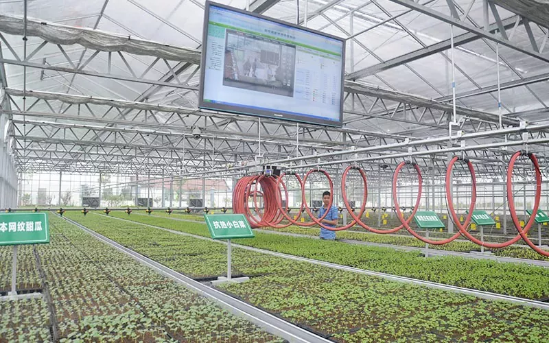 كيف يمكنني استخدام نظام الري من Greenhouse System Sprinkler؟