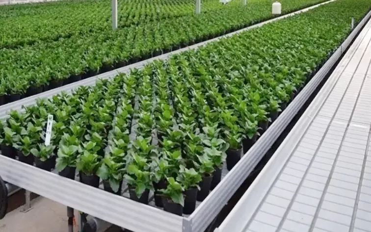 صواني الزراعة المائية البلاستيكية ABS لحضانة Greenhouse